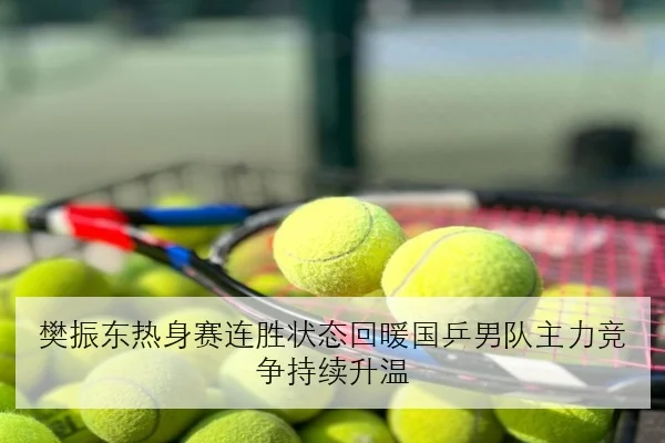 樊振东热身赛连胜状态回暖国乒男队主力竞争持续升温
